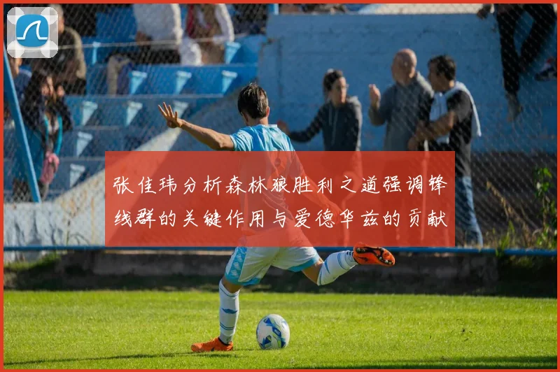 张佳玮分析森林狼胜利之道强调锋线群的关键作用与爱德华兹的贡献