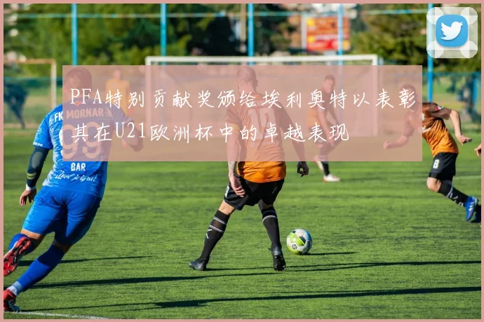 PFA特别贡献奖颁给埃利奥特以表彰其在U21欧洲杯中的卓越表现