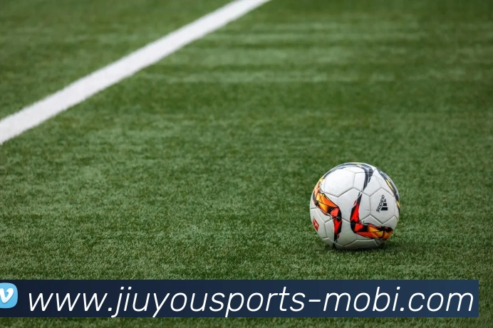 App Interface Preview